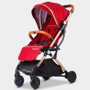 Travel Pushchair 2