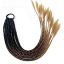Tresses synthétiques sur élastique 60 cm 18