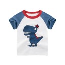 Tricou băiat cu dinozaur B1590 11