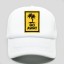 Trucker-Cap mit Palmen 7