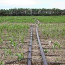 Tubazione a goccia per irrigazione H1046 2