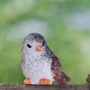Tuindecoratie vogel 7