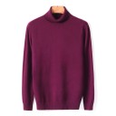 Turtleneck tröja för män F170 15