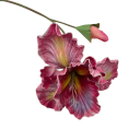 Two-Headed Artificial Decorative Flower on Stem 46x15 cm Plastic Realistic Flower Design for Arranging in a Vase and Interior Decoration 3