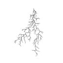 Tymczasowe wodoodporne tatuaż Proste linie 18 x 11 cm Popękane naczynia krwionośne Fałszywe tatuaż na 15 dni 1