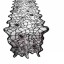 Ubrus běhoun s pavučinami 180 x 35 cm 1
