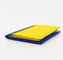 Ukrainan lippu 60 x 90 cm 4