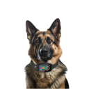 Ultralyds anti-gø halsbånd til hunde Vandtæt USB-C Genopladelig 8 følsomhedsniveauer Vibration LED-display Lille Mellem Store racer 2