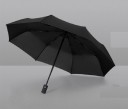 Umbrella T1386 1