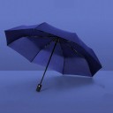 Umbrella T1386 2
