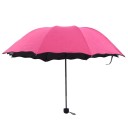 Umbrella T1388 5