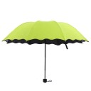 Umbrella T1388 3