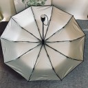 Umbrella T1401 2