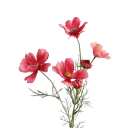 Umělá rostlina heřmánku do květináče realistické květy 60 cm hedvábí vločkový plast ocelová stonka pro dekoraci 10