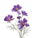 Umělá rostlina heřmánku do květináče realistické květy 60 cm hedvábí vločkový plast ocelová stonka pro dekoraci 11