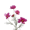 Umělá rostlina heřmánku do květináče realistické květy 60 cm hedvábí vločkový plast ocelová stonka pro dekoraci 2