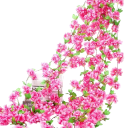 Umělá závěsná girlanda květinová převislá dekorace 230 cm vícebarevná na svatbu stěnu pergolu balkon terasu interiér 4
