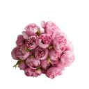 Umělé květiny pivoňky realistické květy 28 cm hedvábí dekorativní aranžmá pro vázu svatbu a bytovou dekoraci 3