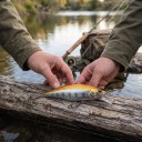 Upottava wobler minnow 5,2 cm 4,5 g Pieni jerkbait painonsiirtomekanismilla ja 3D-silmillä Kaksi kolmihaaraista koukkua petokalojen 7