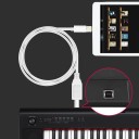 USB-B til Lightning-kabel K142 2