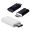 USB-C - Micro USB A2495 adapter 2