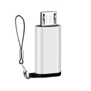 USB-C / Micro USB-adapter 3
