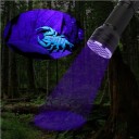 UV-lommelygte 21 LED 395 nm 9,6 x 2,9 cm Kompakt UV-lampe Seddelinspektion Pletdetektion Mineraler Hygiejne Husholdning 2