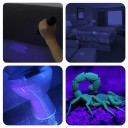 UV-lommelygte 21 LED 395 nm 9,6 x 2,9 cm Kompakt UV-lampe Seddelinspektion Pletdetektion Mineraler Hygiejne Husholdning 3
