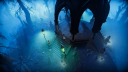 V Rising PC Steam CD Key CD klíč 2