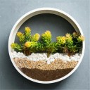 Vægmonteret dekorativ blomsterpotte 4