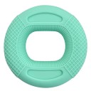 Vægttræningsring 13 - 18 kg 2