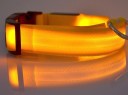 Valaiseva LED-panta koirille 3