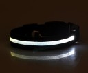 Valaiseva LED-panta koirille 8