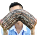 Válcový polštář ve tvaru dřeva 43 × 13 cm ergonomický opěrný polštář se zipem dekorace na spaní a relaxaci 4