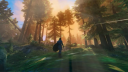 Valheim PC Steam Fiók 6