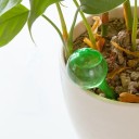 Vanddispenser til blomsterpotter 5 stk. 3