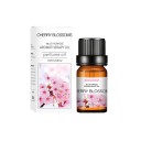 Vandopløselig æterisk olie 10 ml Aromaolie til luftfrisker Aromaterapi Naturlig duft Afslapning Stresslindring 16