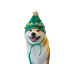 Vánoční čepice pro psy - stromeček 4