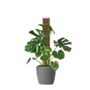 Varão de apoio em plástico para plantas trepadeiras 2 unid. 60 × 10 cm branco para crescimento vertical de plantas de interior e condução de caules 2