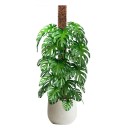 Varilla de soporte de plástico para plantas trepadoras 2 uds 91 × 10 cm blanca para el crecimiento vertical de plantas de interior y guía de tallos 2