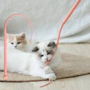 Varinha de brincar para gatos Cauda de Rato 77 cm Varinha de silicone para gatos Brinquedo interativo para gatos Cauda de rato realista 2