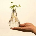 Vase ampoule 1