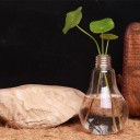Vase ampoule 2