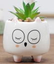 Vase en céramique en forme d'animal C923 11