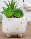 Vase en céramique en forme d'animal C923 19
