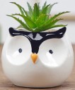 Vase en céramique en forme d'animal C923 3