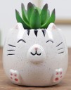 Vase en céramique en forme d'animal C923 6