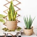 Vase en paille 2