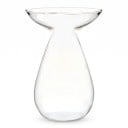 Vase hydroponique pour avocat, verre transparent pour observer la germination et les racines, hauteur 14 cm, kit de culture de graines de plantes et décoration intérieure 7