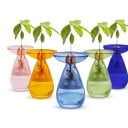 Vase hydroponique pour avocat, verre transparent pour observer la germination et les racines, hauteur 14 cm, kit de culture de graines de plantes et décoration intérieure 1
